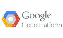 Google Cloud Platform Google Partners - General Data