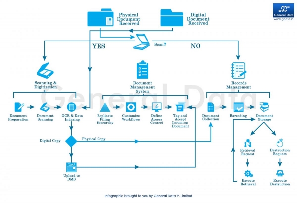 Information Management Processes Detailed in an Infographic